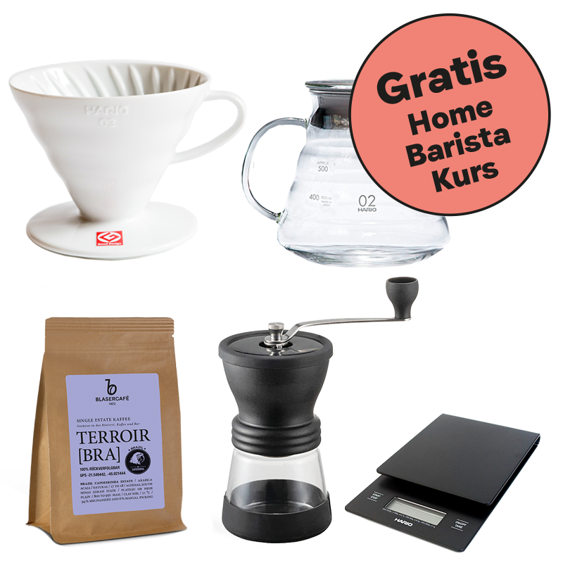 Hario V60 Filterhalter 