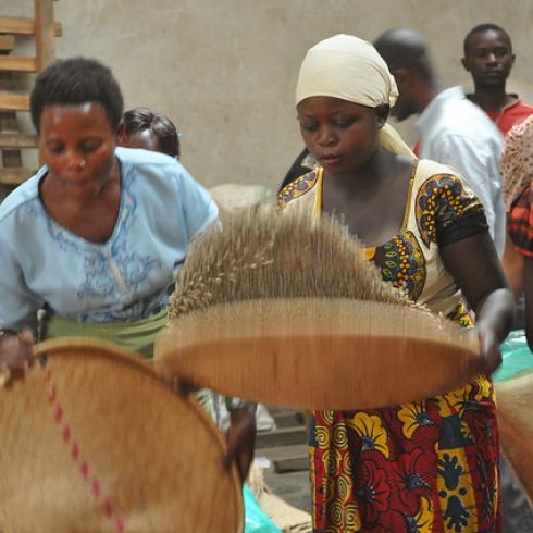Terroir Congo Kawa Kabuya
