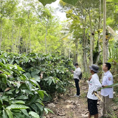 Indonesien Java Tugusari