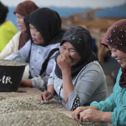 Terroir Indonesia Sumatra Orang Utan